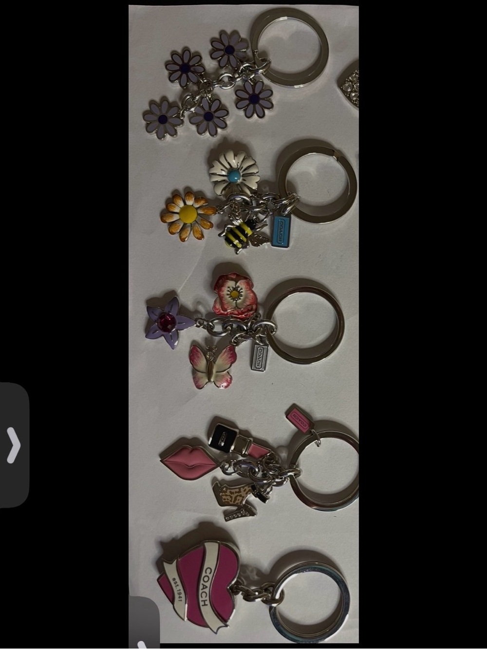 Coach Floral & Charm Keychain Bundle of 5